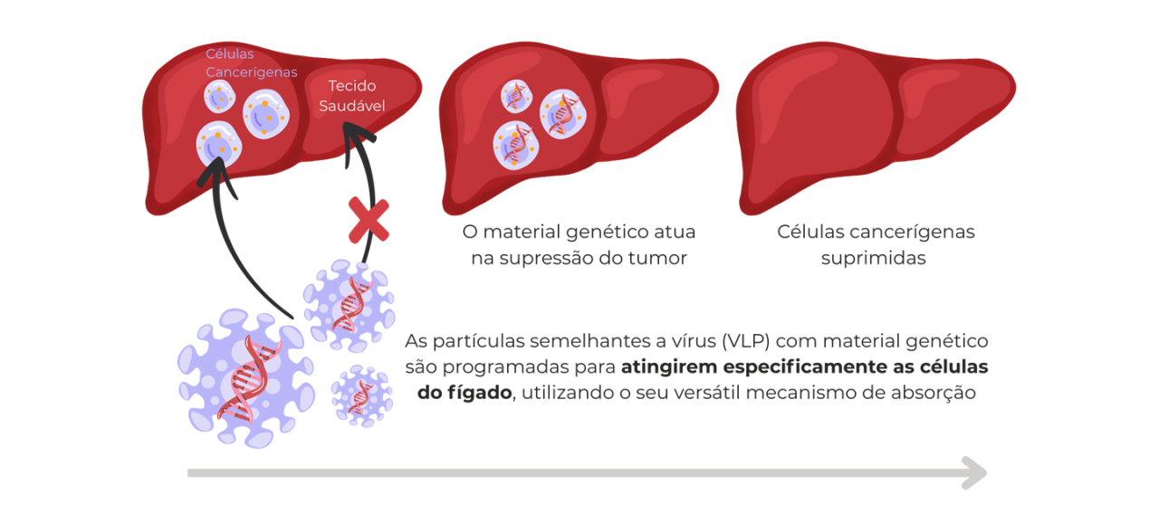 Hovione and Firstgene collaboration to advance virus-like particle platform for liver cancer | Hovione